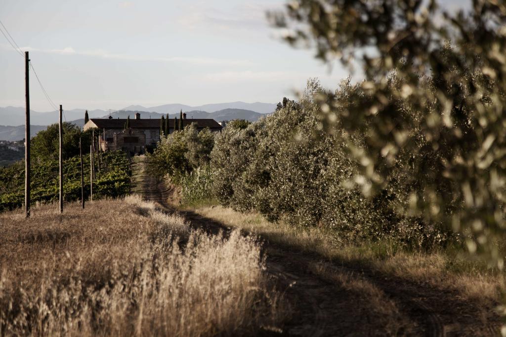 Вилла Tenuta Di Colle Alberti Agriturismo Черрето-Гвиди Экстерьер фото